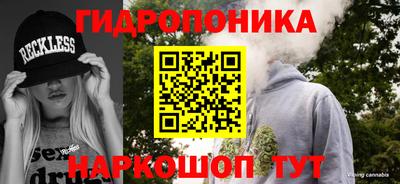 apvp Владивосток