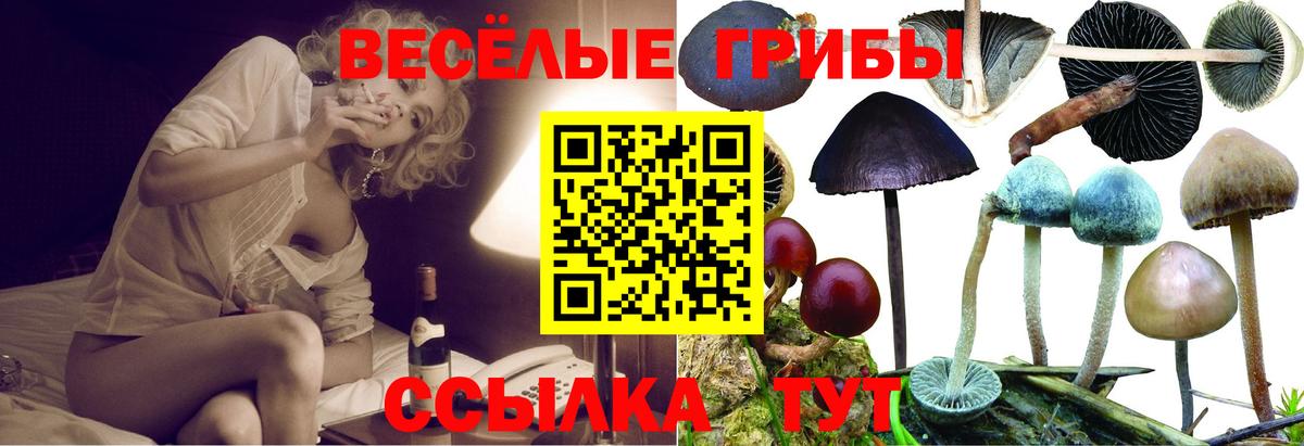 Галлюциногенные грибы ЛСД Астрахань