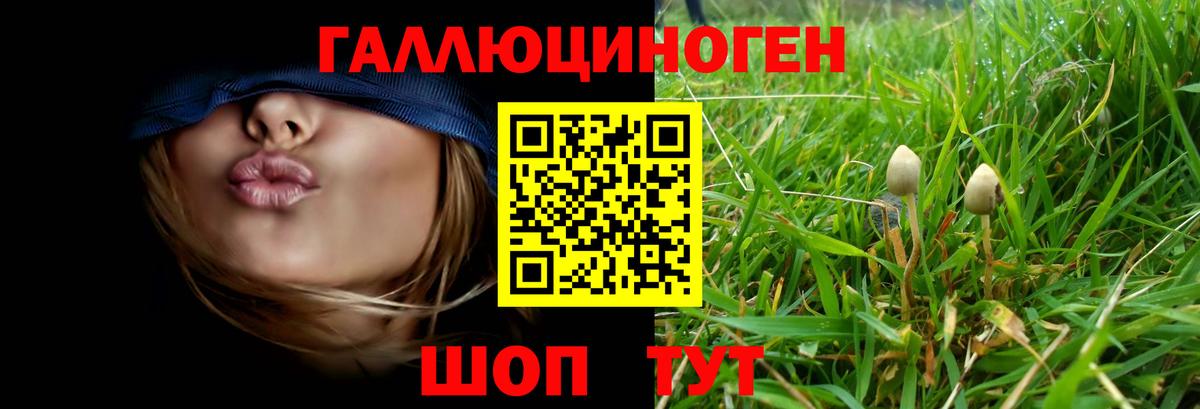 Астрахань  Псилоцибиновые грибы ЛСД  Вход с VPN 